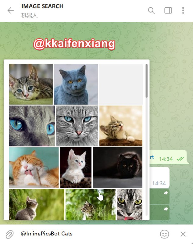 🤖 机器人名称