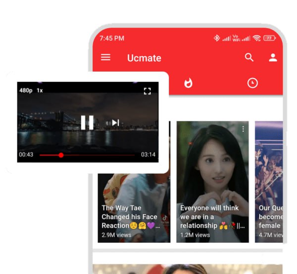 🆔  软件名称