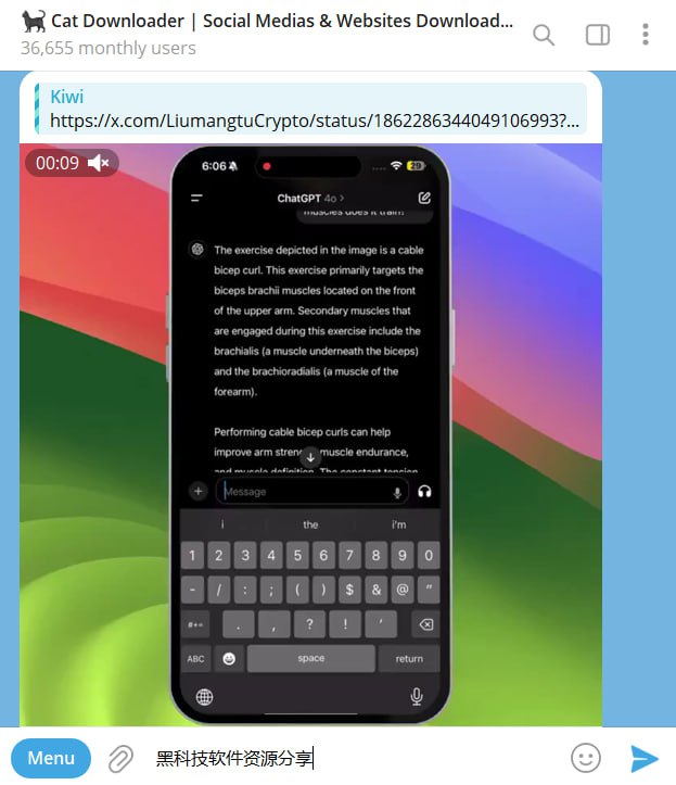 🤖 机器人名称