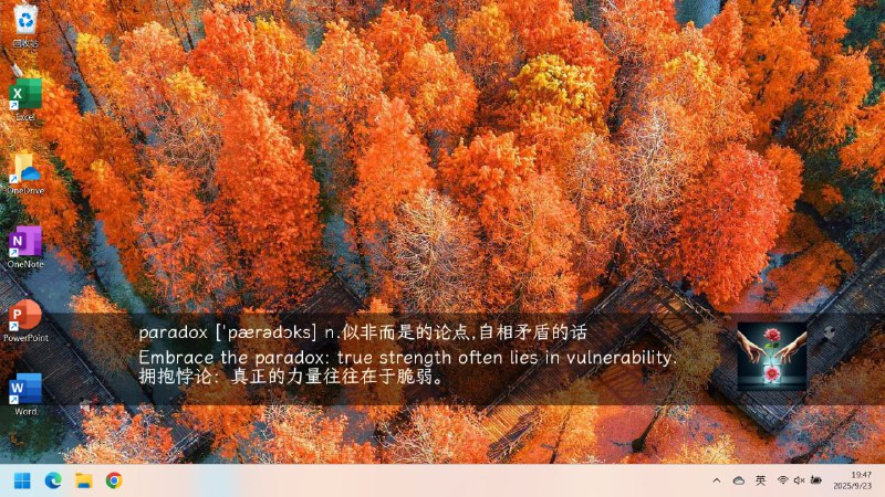 🆔  软件名称