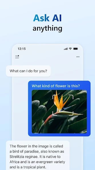 🆔  软件名称