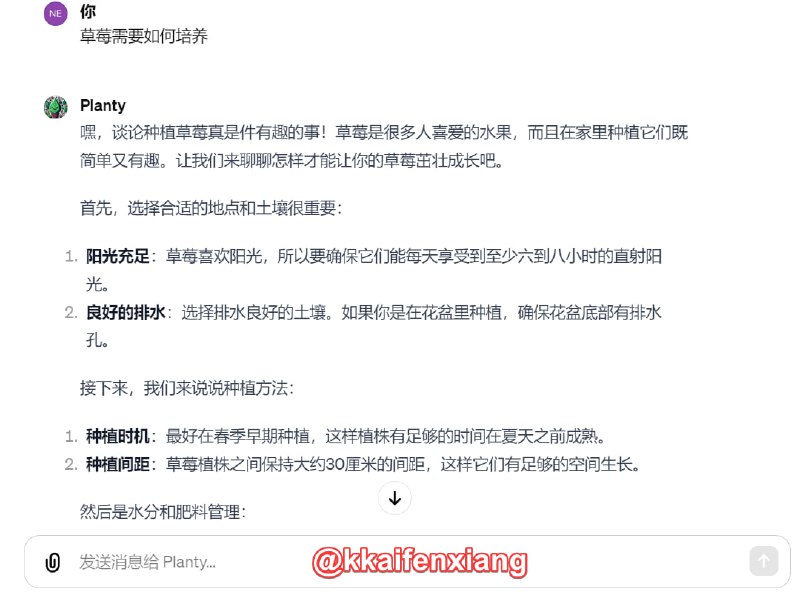 🆔  插件名称