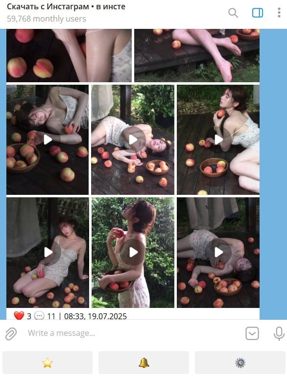 🤖 机器人名称