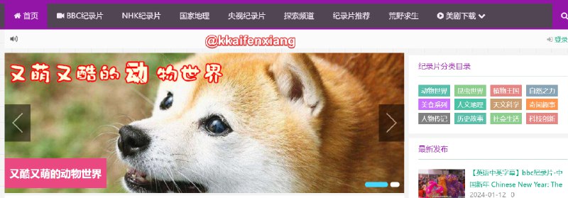 🆔  网站名称