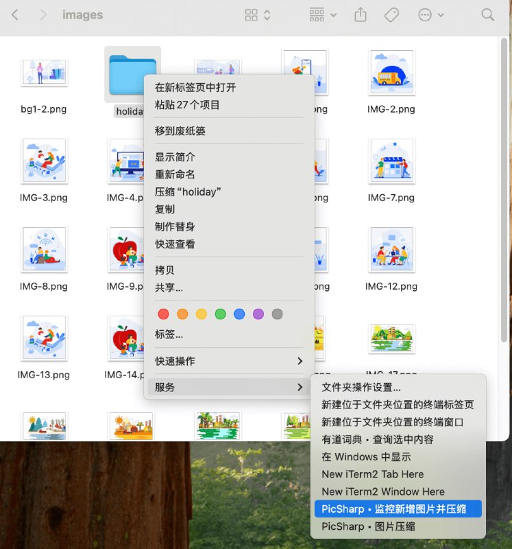 🆔  软件名称