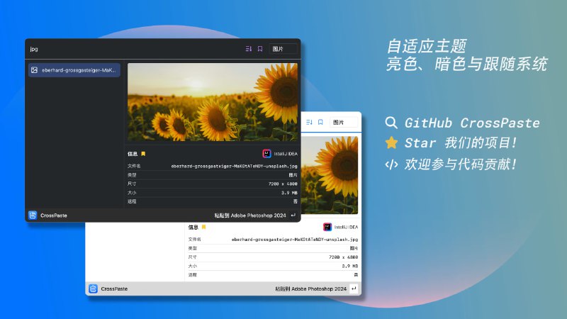 🆔  软件名称