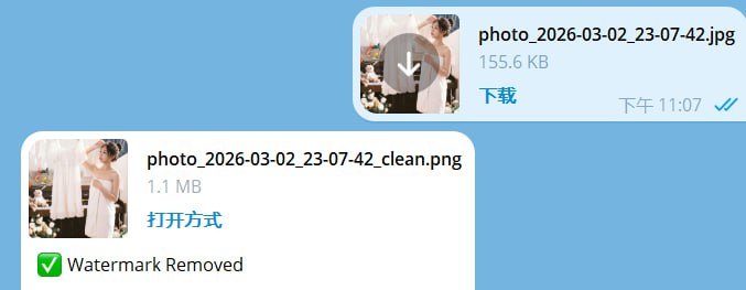 🤖 机器人名称