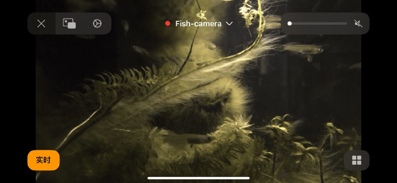🆔  网站名称