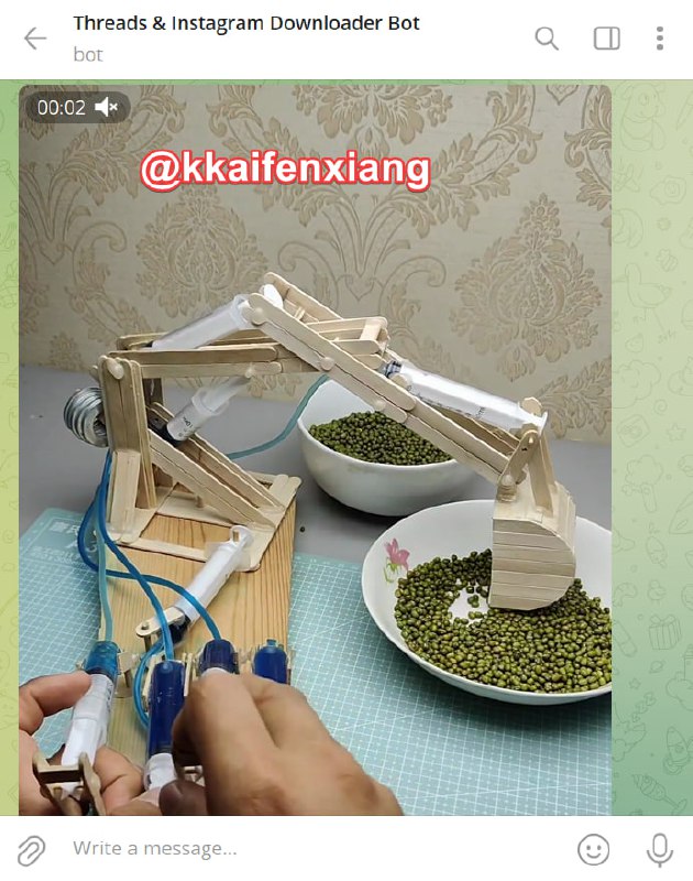 🤖 机器人名称