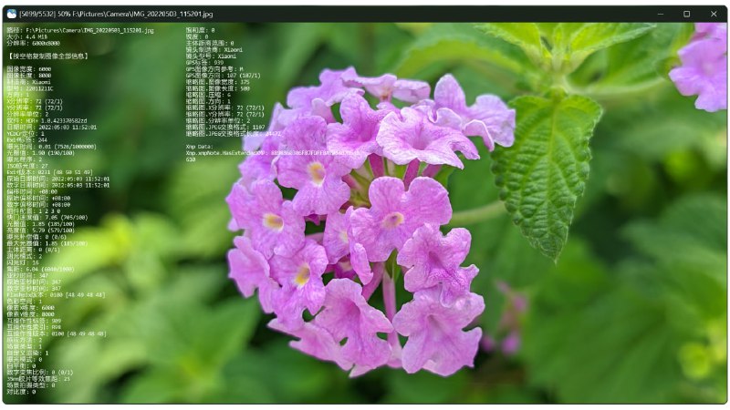 🆔  软件名称