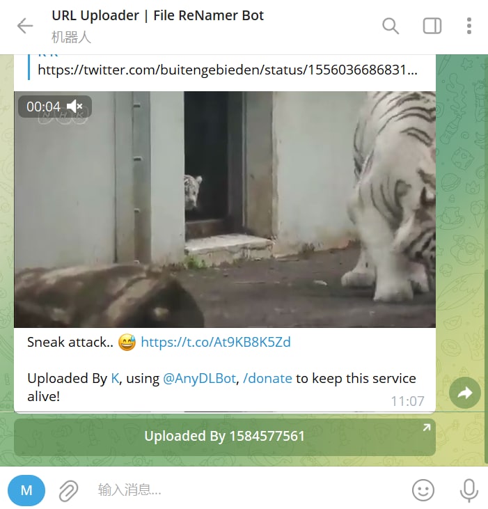 【机器人名称】URL Uploader | File ReNamer 【机器人功能】视频下载【机器人简介】将带有视频的链接发送给机器人，机器人会回复该链接里的视频