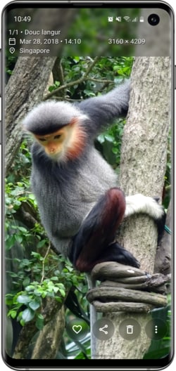 【软件名称】Aves【软件功能】相册应用【支持平台】#Android【软件简介】Aves Gallery 是一款开源的安卓相册应用，集成了 EXIF 原数据浏览，支持众多图片、视频格式，包括一些比较少用到的格式，比如 TIFF、SVG、旧版本的 AVI 等，支持动态图片、360 视频、全景图，以及 GeoTIFF 等