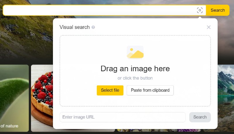 【网站名称】Yandex.images【网站功能】以图搜图【网站简介】Yandex搜索引擎下的图片搜索功能，以图搜图功能非常强，很多其它网站搜不到的这里都可以搜得到