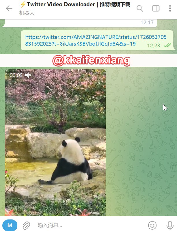 🤖 机器人名称