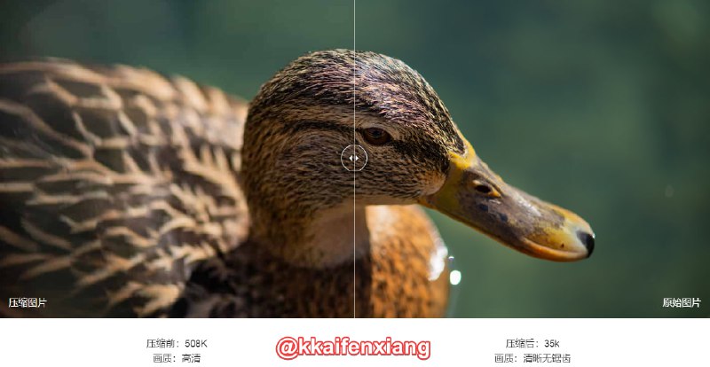 🆔  网站名称
