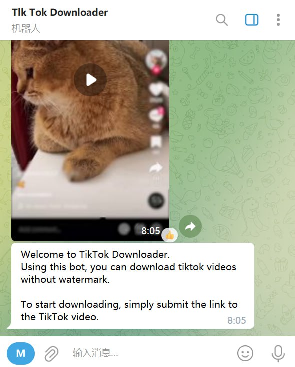 🤖 机器人名称