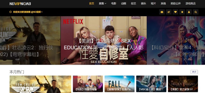 【网站名称】NO视频【网站功能】在线影视【网站简介】一款免费的在线影视网站