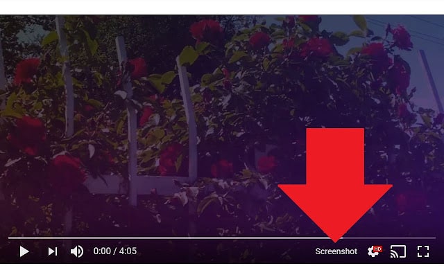 【插件名称】Screenshot YouTube【插件功能】在线视频截图【插件简介】一款可以给在线视频截图的插件