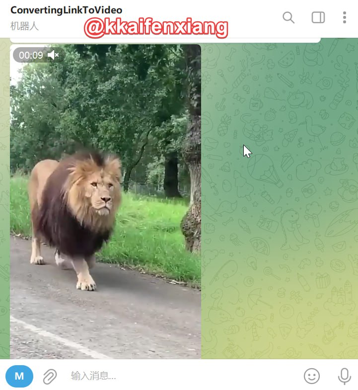 🤖 机器人名称