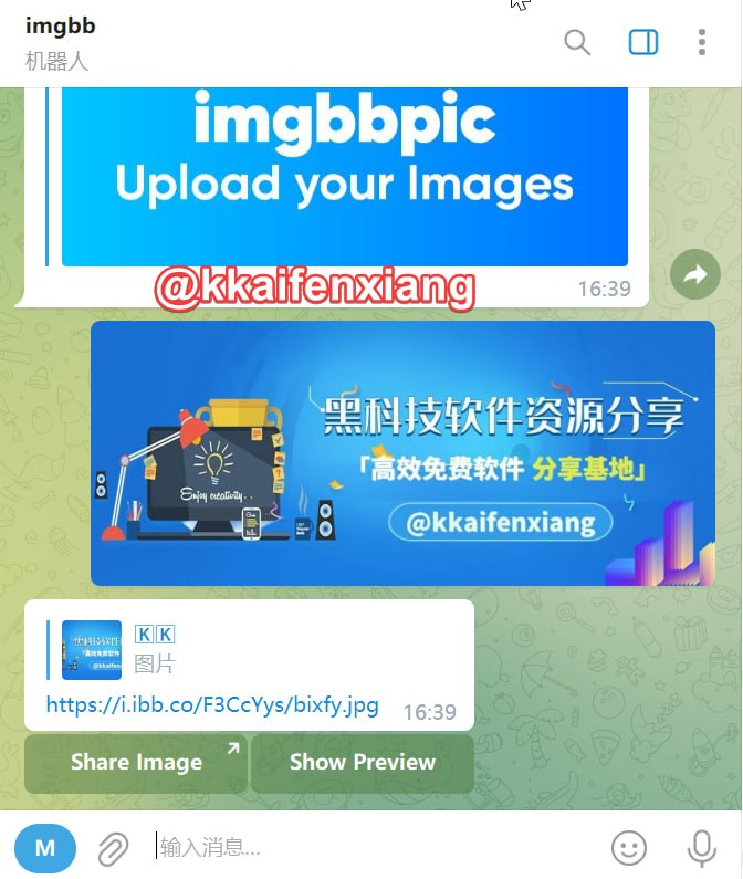 🤖 机器人名称